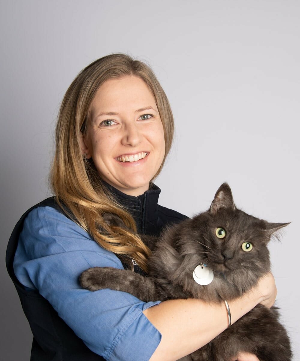 10 reasons Australian pet owners choose euthanasia
