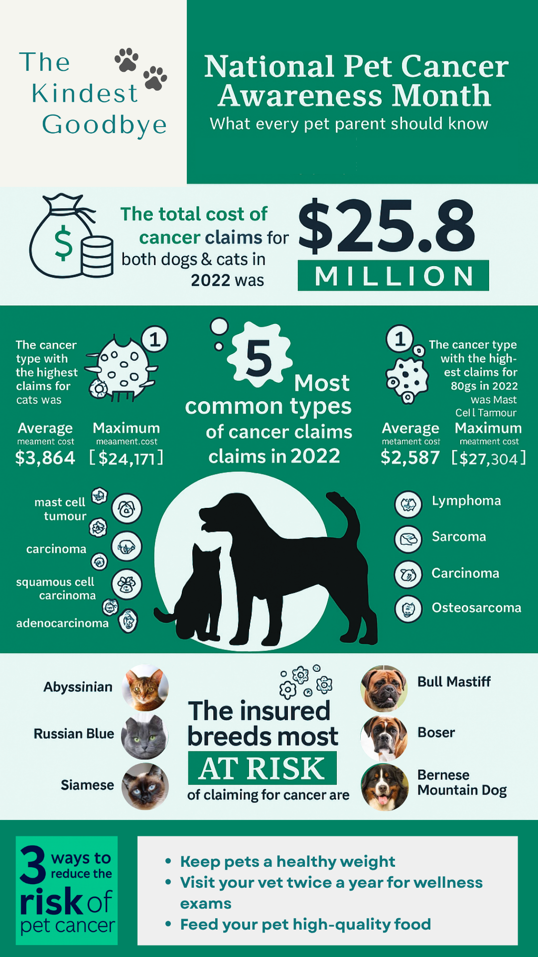 National-Pet-Cancer-Awareness-Month-What-Every-Pet-Parent-Should-Know-The-Kindest-Goodbye