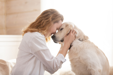 At-Home Pet Euthanasia in Australia: Preparing for a Peaceful and Compassionate Goodbye
