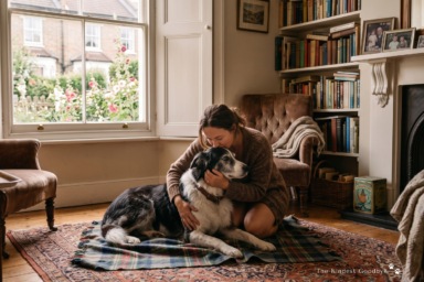 Pet Euthanasia and Animal Welfare