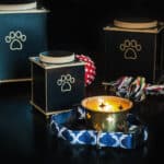 choosing pet cremation services