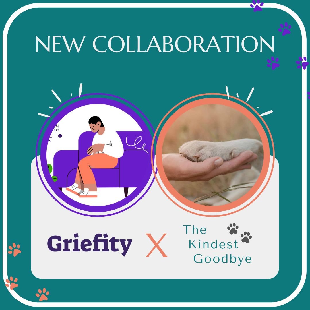 The Kindest Goodbye Partners with Griefity Pet Loss Support to provide UK families with aftercare resources, community, and free counselling care.