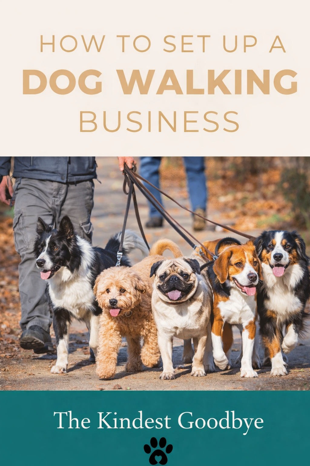 How to set up a dog walking business: A complete guide for the UK
