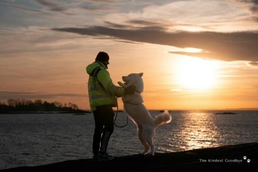 Thinking About Another Dog